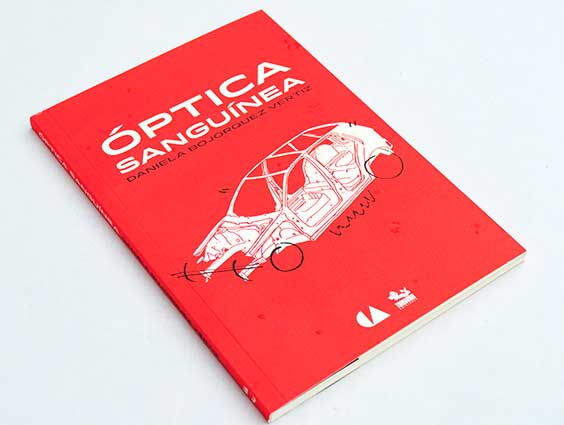“Cuando recordamos, reescribimos”. Entrevista con Daniela Bojórquez Vértiz