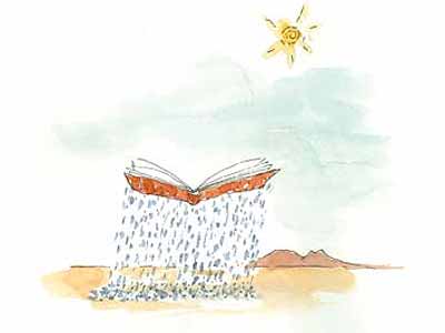 Ventana al relato latinoamericano reciente. Declaraciones de cuentistas