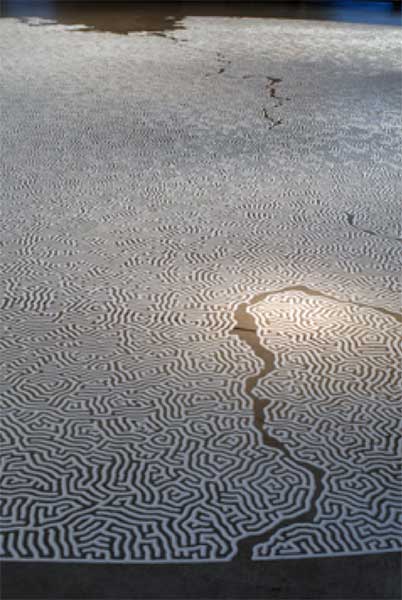 Cartelera 5-11 de agosto