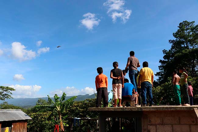 Internet en la selva