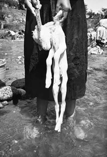 Cartelera 7-13 de octubre