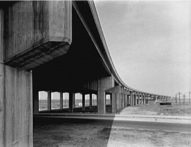 Los habitantes de la velocidad