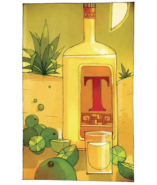 Vida y milagros del agave tequilero