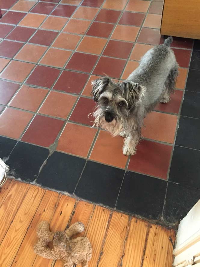 Covidiario 28 de mayo, 2020