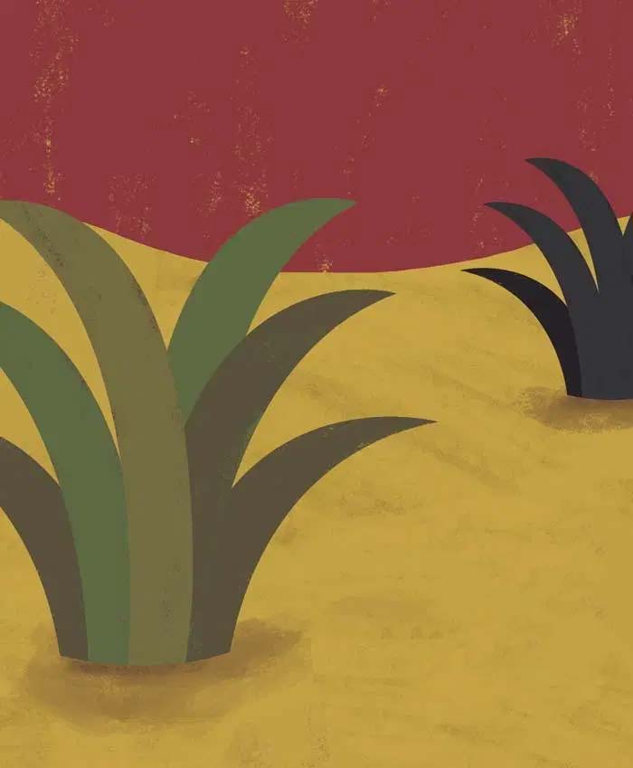 Covidiario7 de mayo, 2020