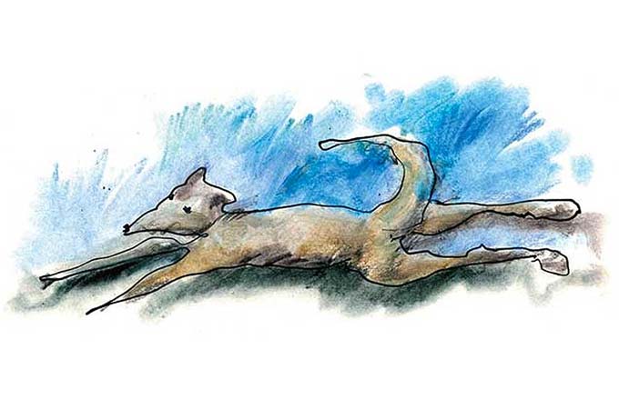 Covidiario 18 de junio, 2020