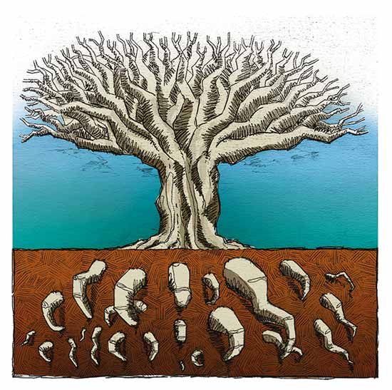 Covidiario 11 de julio, 2020