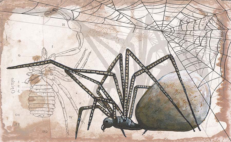 La escritura de los insectos