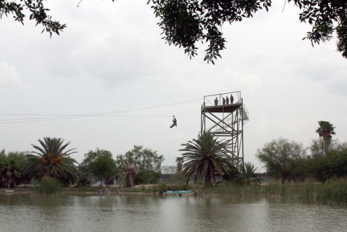 Árbol quieto entre nubes