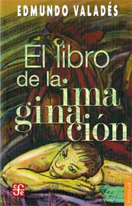 el-libro-de-la-imaginacion