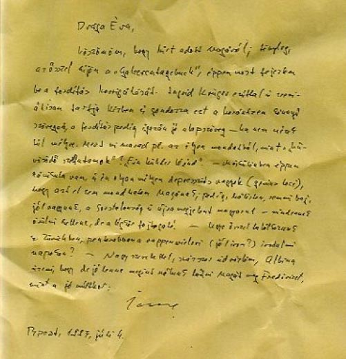 Imre Kertész sobre el horror vacui