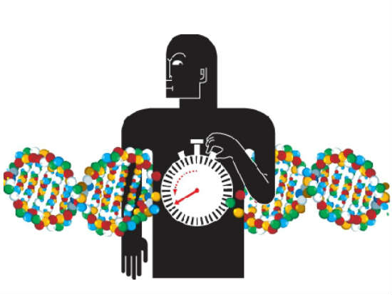 CRISPR: el nombre de la edición genética
