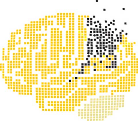 Trastornos psiquiátricos: hallazgos biológicos