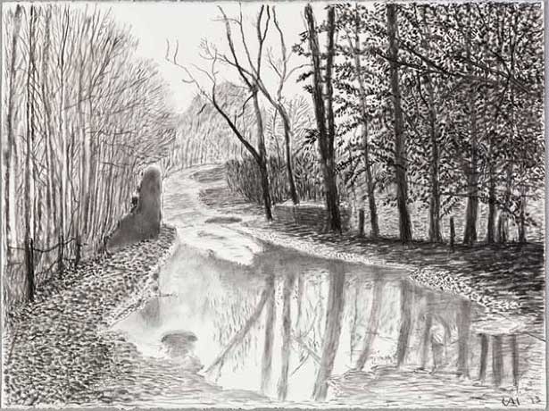 hockney-6