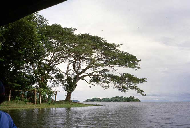Nicaragua y la revolución cultural traicionada