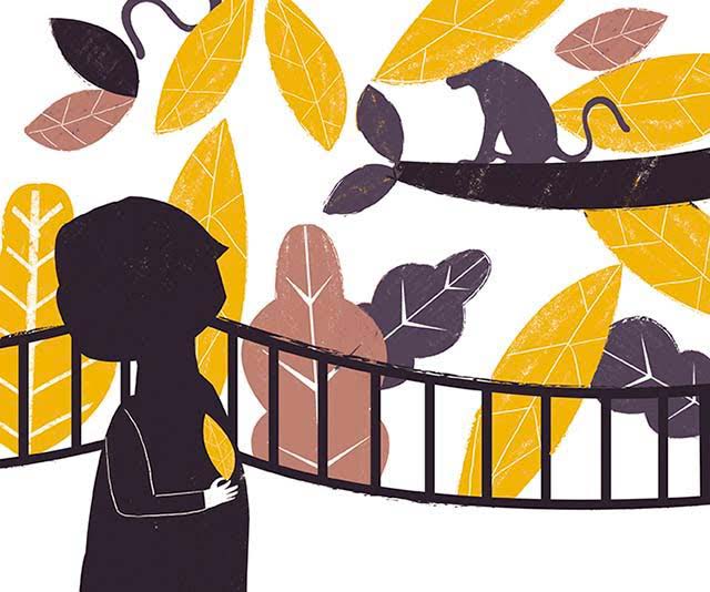 Sutra del Oso Smokey