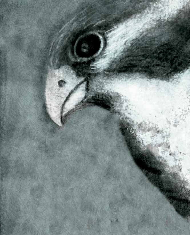 Bai Juyi: de halcones y de hombres