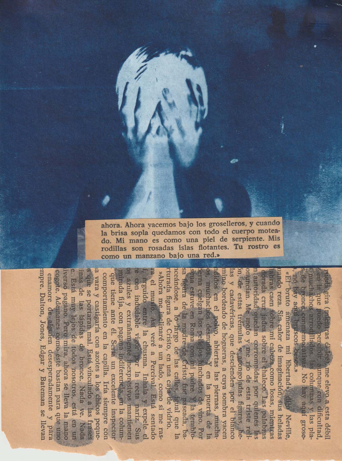 Bajo una red de huellas