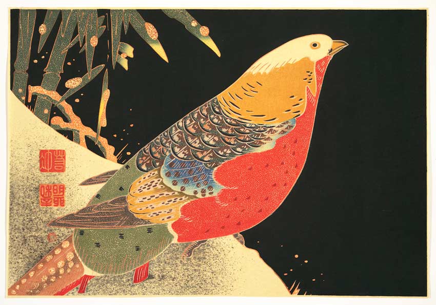 Una mascota improbable