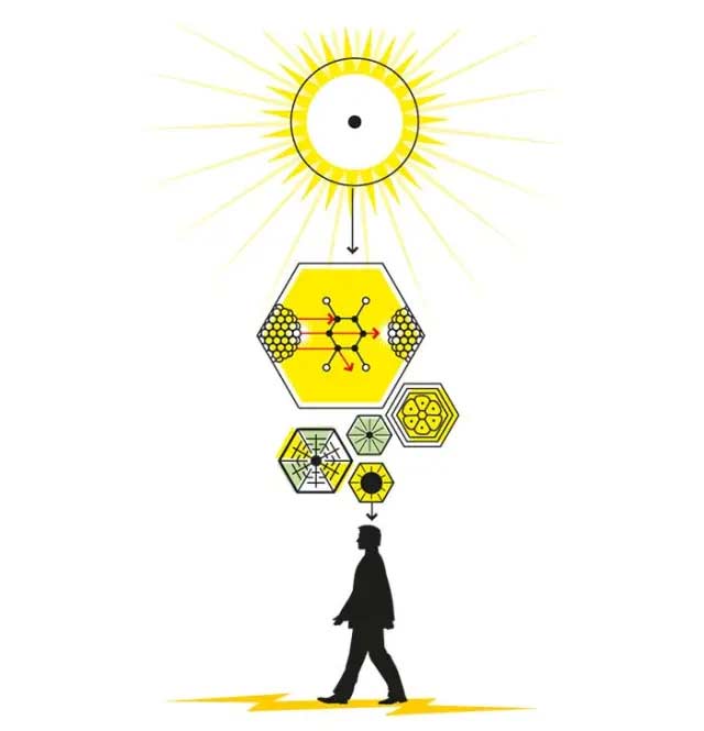 Ilustración: Oldemar González