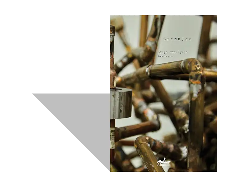 Una lectura subterránea: Drenajes de Diego Rodríguez Landeros