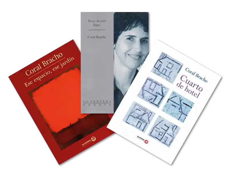 Algo sobre el mundo táctil y sonoro de Coral Bracho