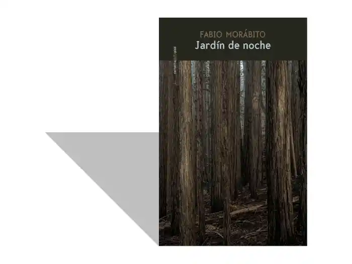 Todo alrededor estaba oscuro. Entrevista a Fabio Morábito