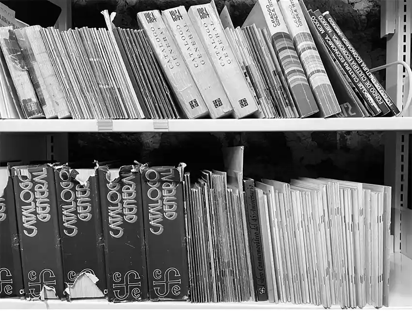 Cuidar el Fondo: Entrevista con Alejandro Merlín