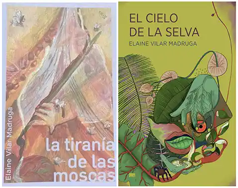 Literatura del intersticio. Entrevista a Elaine Vilar