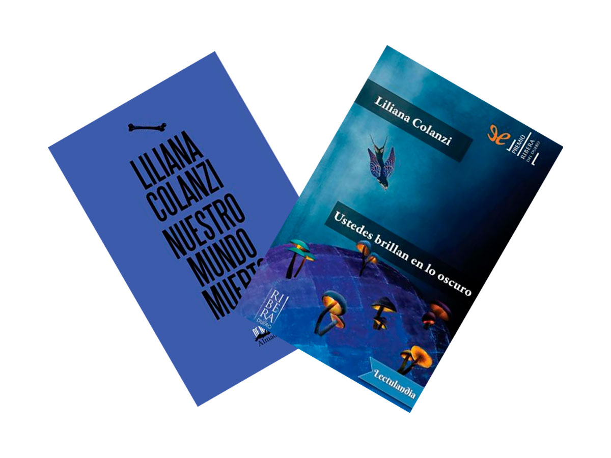 Grietas y fantasmas después del fin del mundo: una conversación con Liliana Colanzi