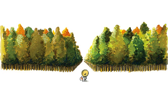 Conservacionismo y espectáculo: sobre Amazônia de Sebastião Salgado